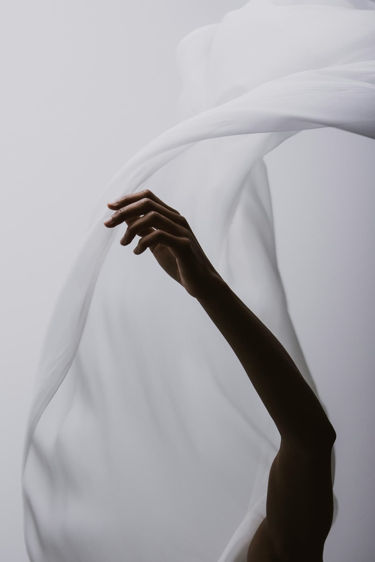 Film, Video & Motion